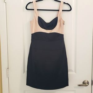 Silk BCBG Cocktail Dress